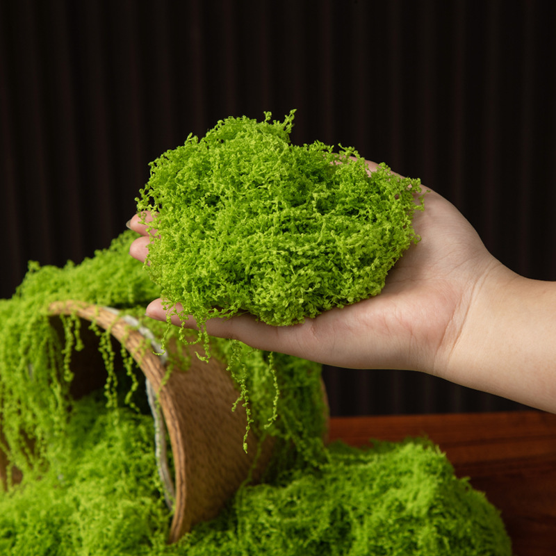 Sphagnum Moss Dry - طحلب أخضر اصطناعي، طحلب محفوظ صناعي،