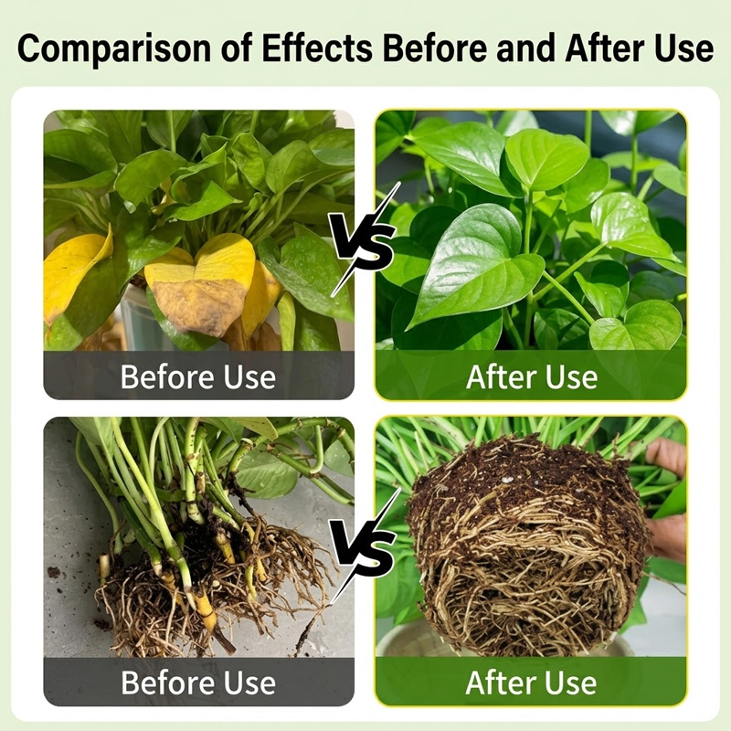محلول تجذير النباتات، معزز الت - مراجعة Rooting Hormone Powder وسعره