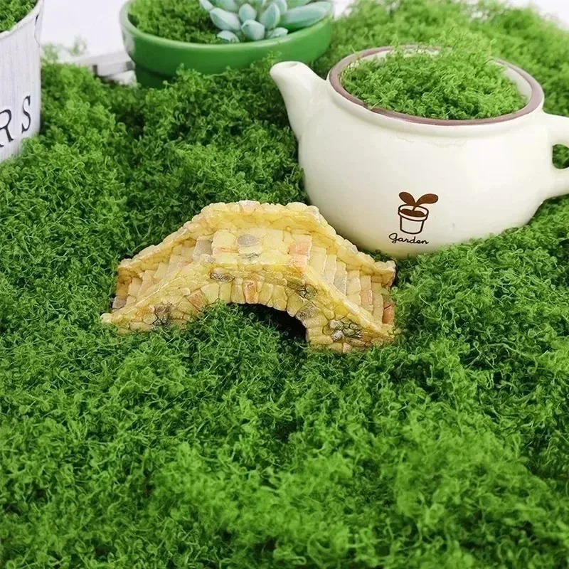 طحلب صناعي أخضر للحرف اليدوية  - مراجعة Sphagnum Moss Dry وسعره