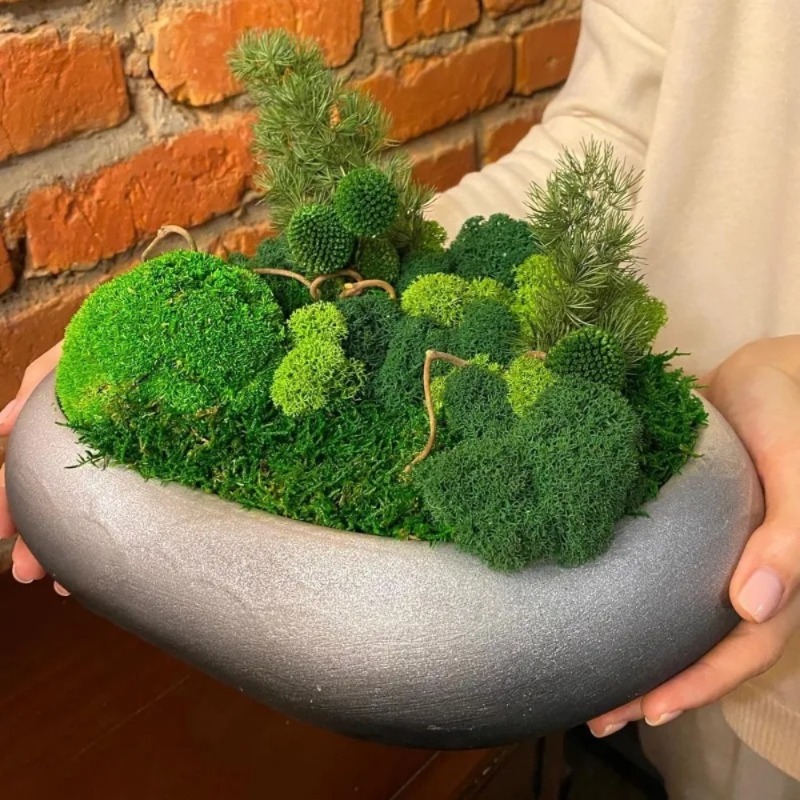 طحلب صناعي أخضر للحرف اليدوية  - مراجعة Sphagnum Moss Dry وسعره