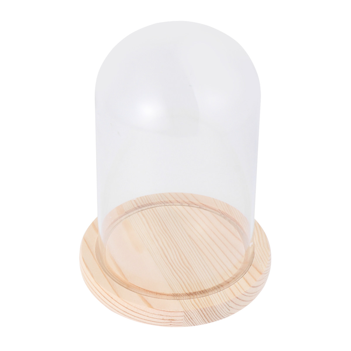 قبة زجاجية أنيقة مقاس 9x15 سم  - مراجعة Plastic Dome Clear وسعره
