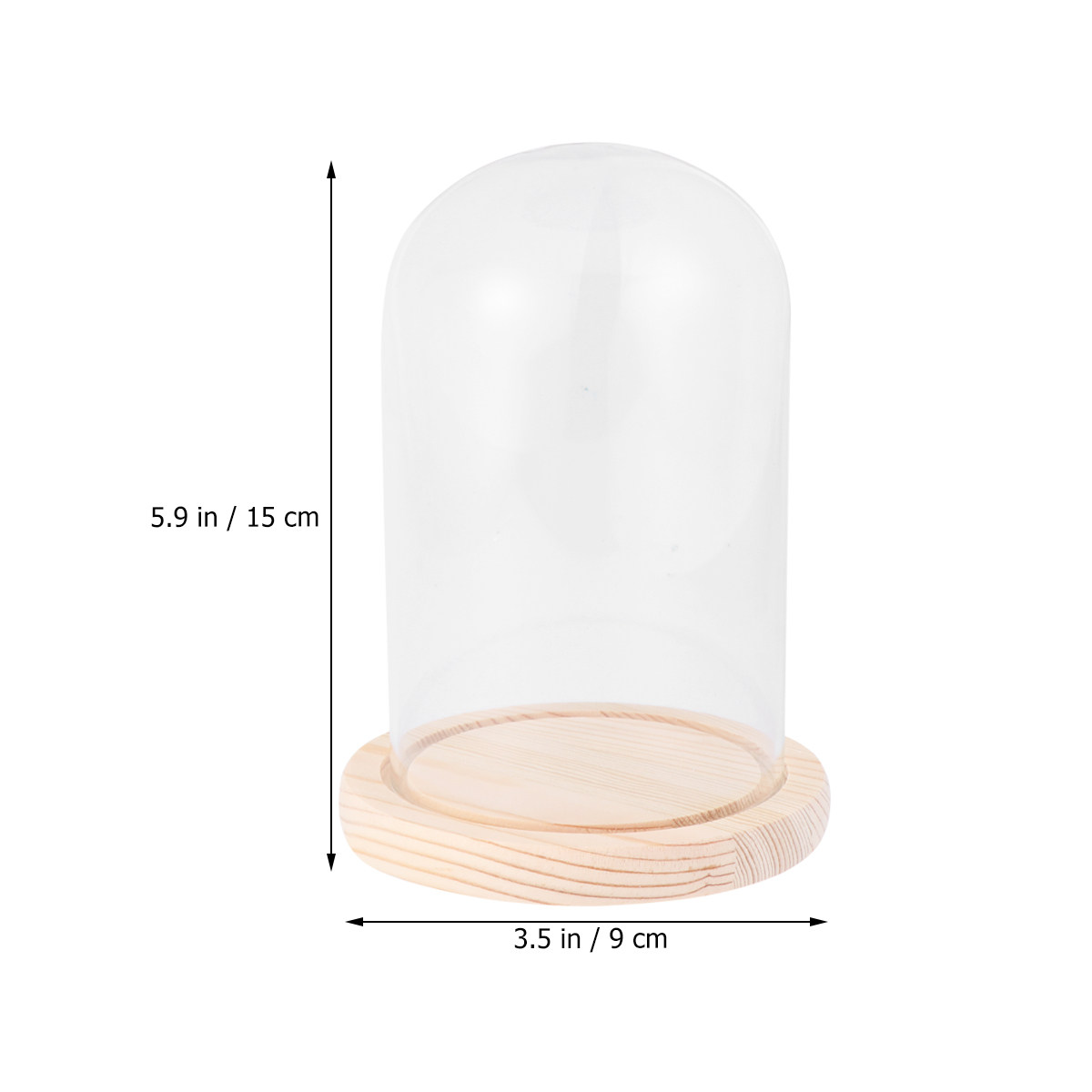 قبة زجاجية أنيقة مقاس 9x15 سم  - مراجعة Plastic Dome Clear وسعره