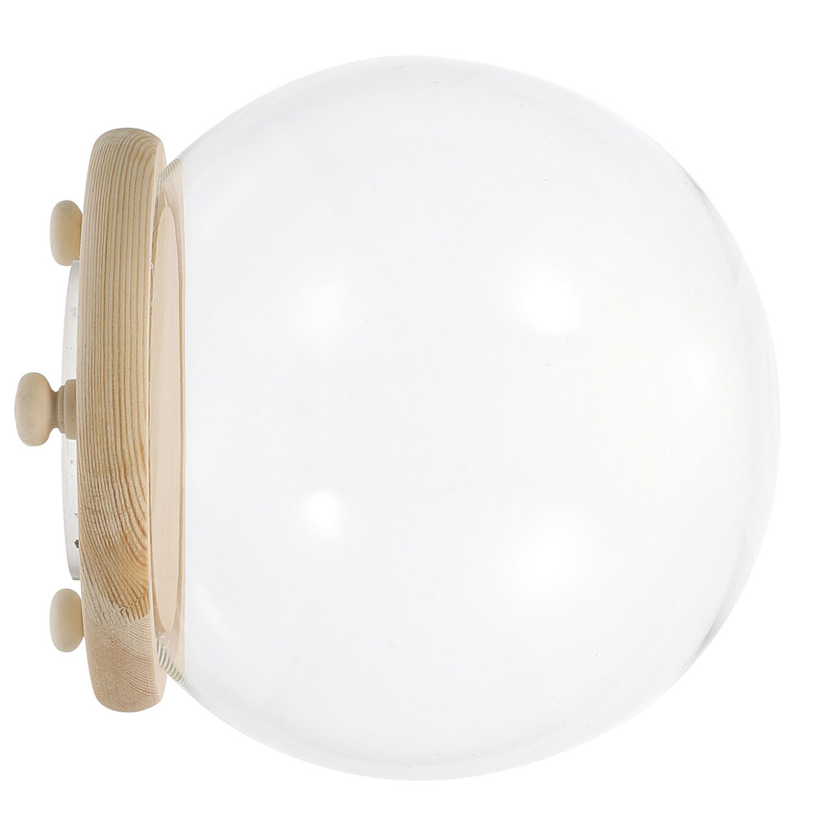 قبة زجاجية لحفظ الزهور، غطاء ز - مراجعة Plastic Dome Clear وسعره