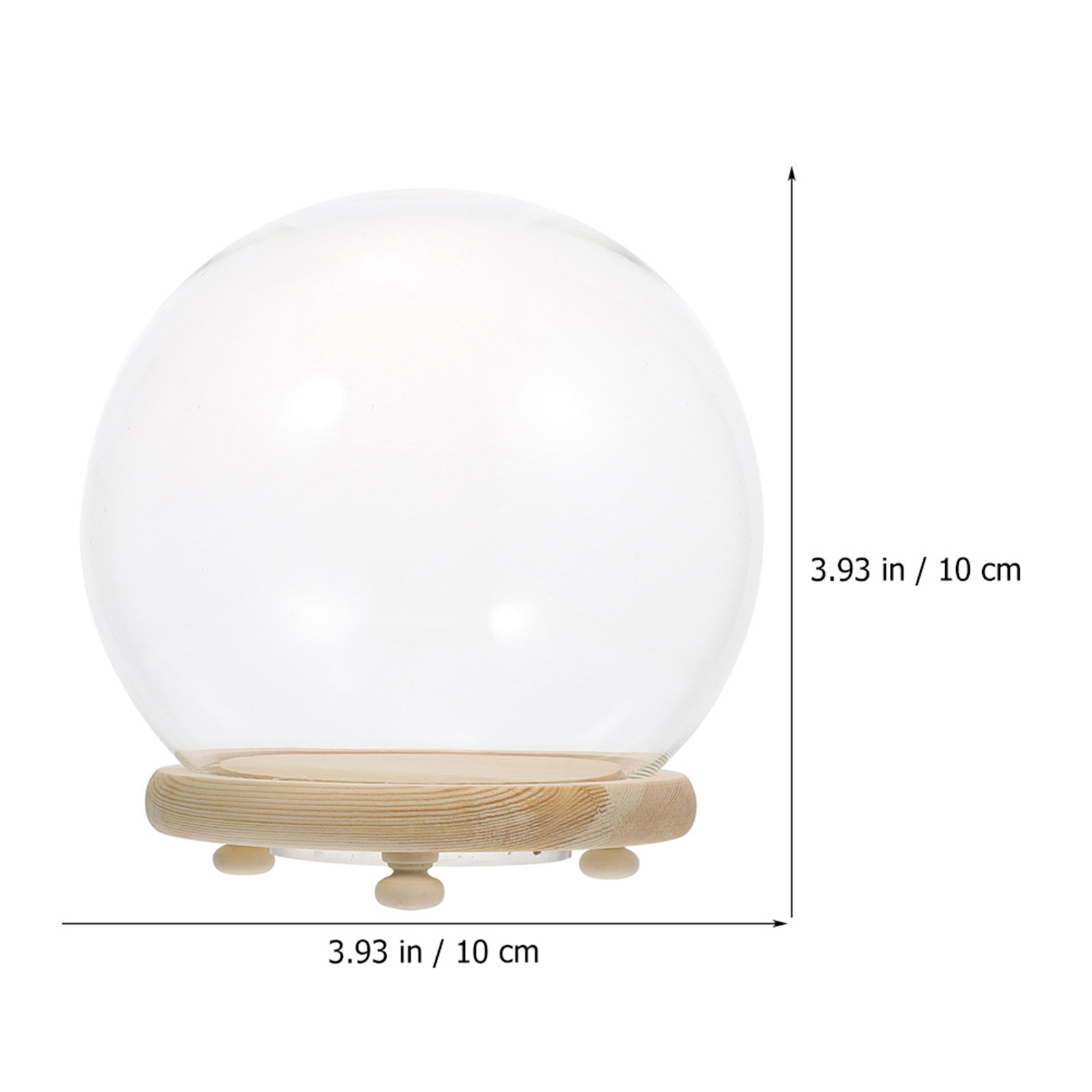 قبة زجاجية لحفظ الزهور، غطاء ز - مراجعة Plastic Dome Clear وسعره