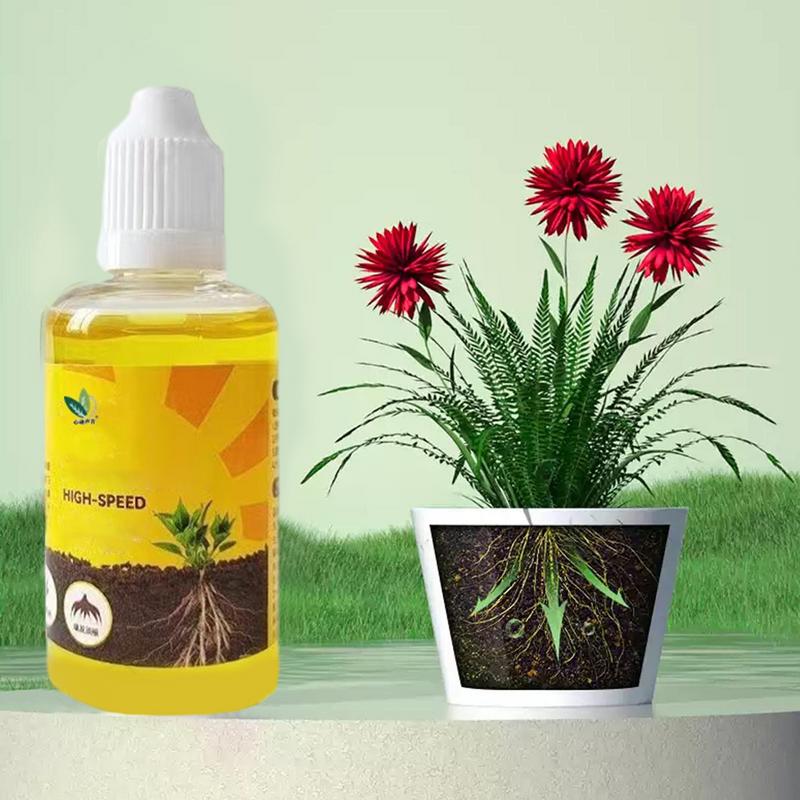 50 مللي محفز جذر النبات السائل - مراجعة Rooting Hormone Powder وسعره
