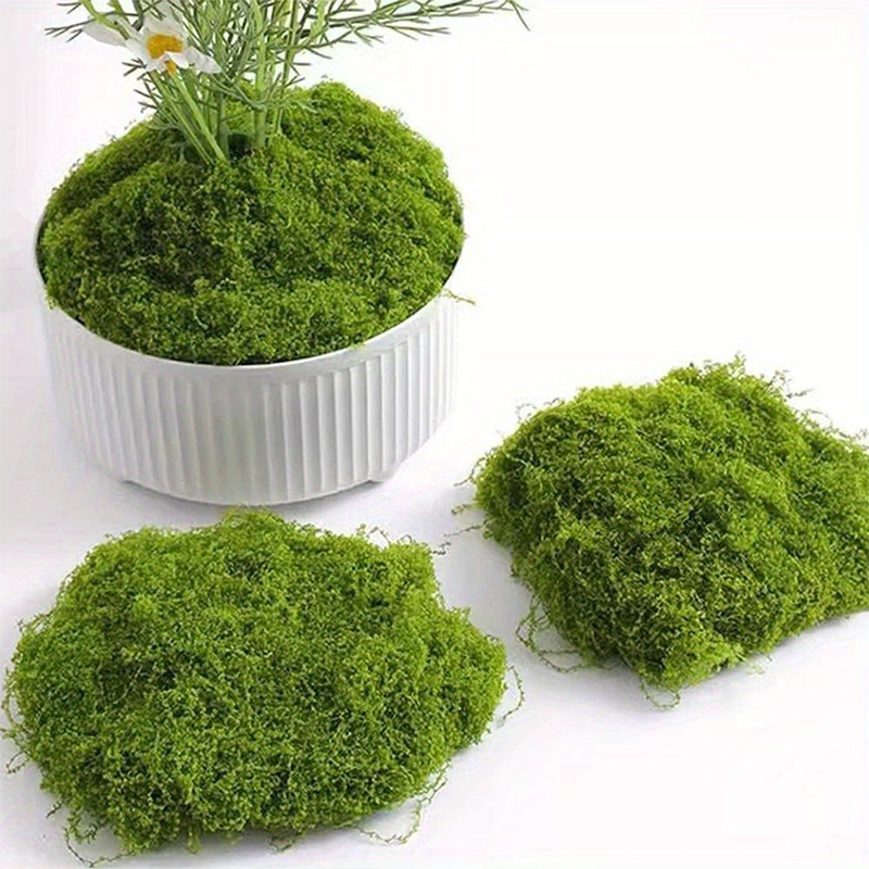 طحلب أخضر صناعي للحرف اليدوية، - مراجعة Sphagnum Moss Dry وسعره