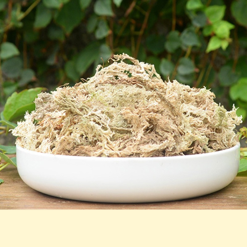 تربة طحالب السفاغنوم لتراريوم  - مراجعة Sphagnum Moss Dry وسعره