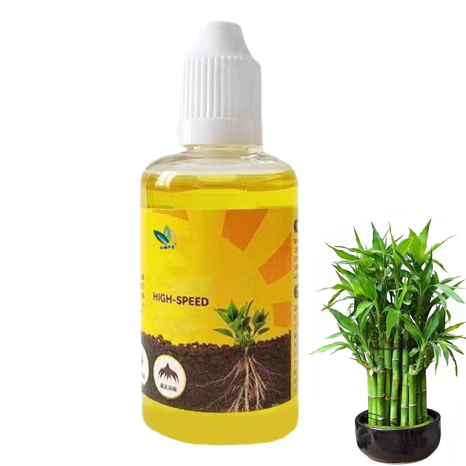 50 مللي محفز تأصيل النبات السا - مراجعة Rooting Hormone Powder وسعره