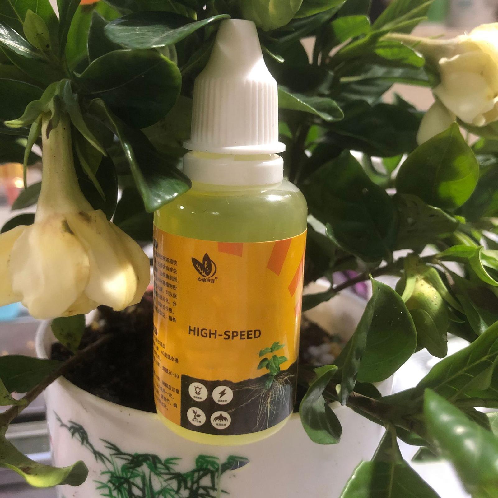 50 مللي محفز تأصيل النبات السا - مراجعة Rooting Hormone Powder وسعره