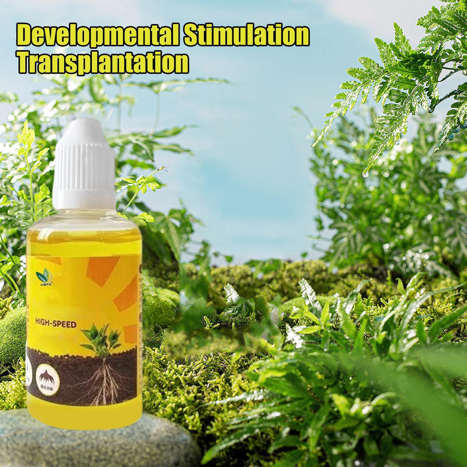 50 مللي محفز تأصيل النبات السا - مراجعة Rooting Hormone Powder وسعره