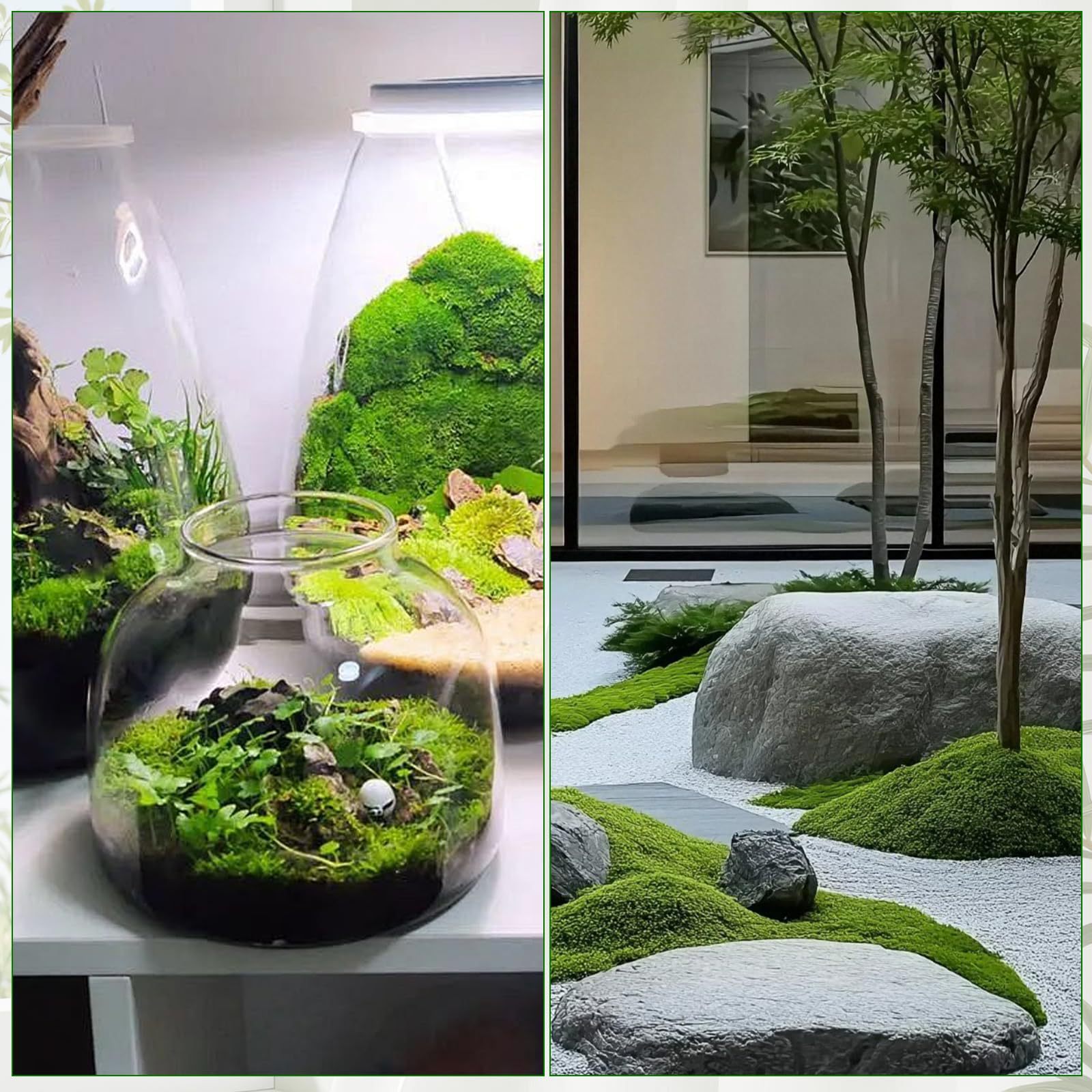 طحلب أخضر اصطناعي، طحلب محفوظ  - مراجعة Sphagnum Moss Dry وسعره