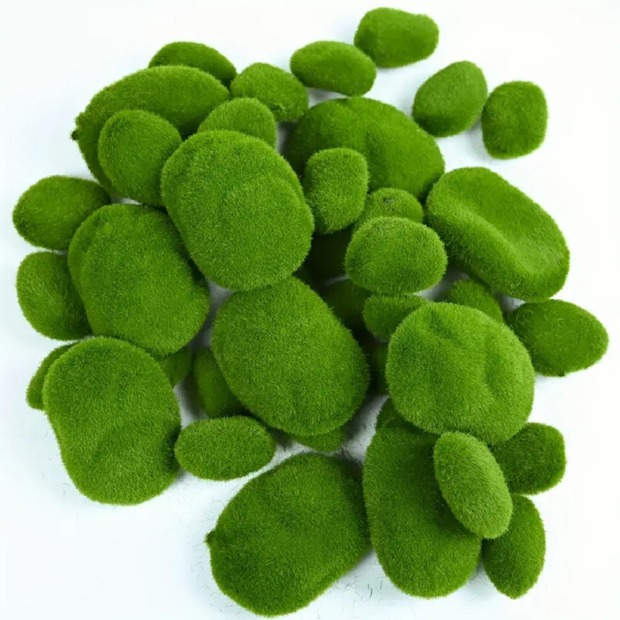 5 قطعة 3-12 سنتيمتر الأخضر الا - مراجعة Sphagnum Moss Dry وسعره