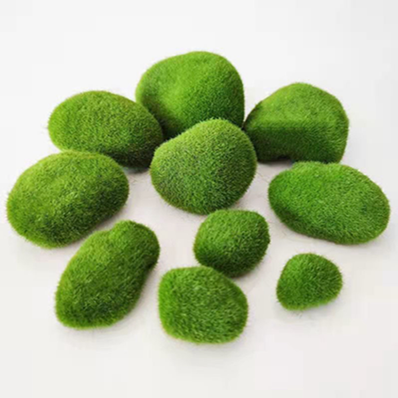 5 قطعة 3-12 سنتيمتر الأخضر الا - مراجعة Sphagnum Moss Dry وسعره